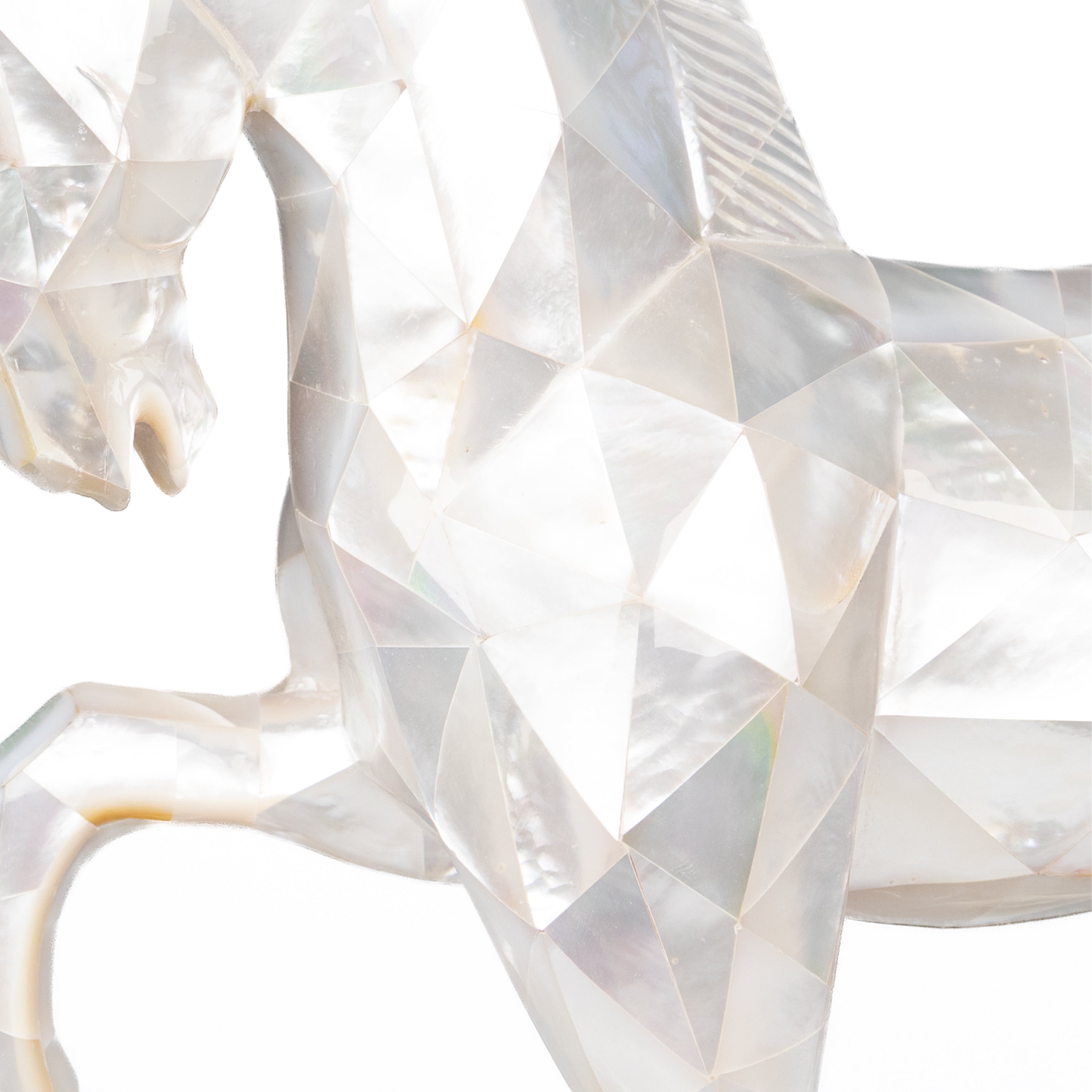 White Mother of Pearl Horse close up