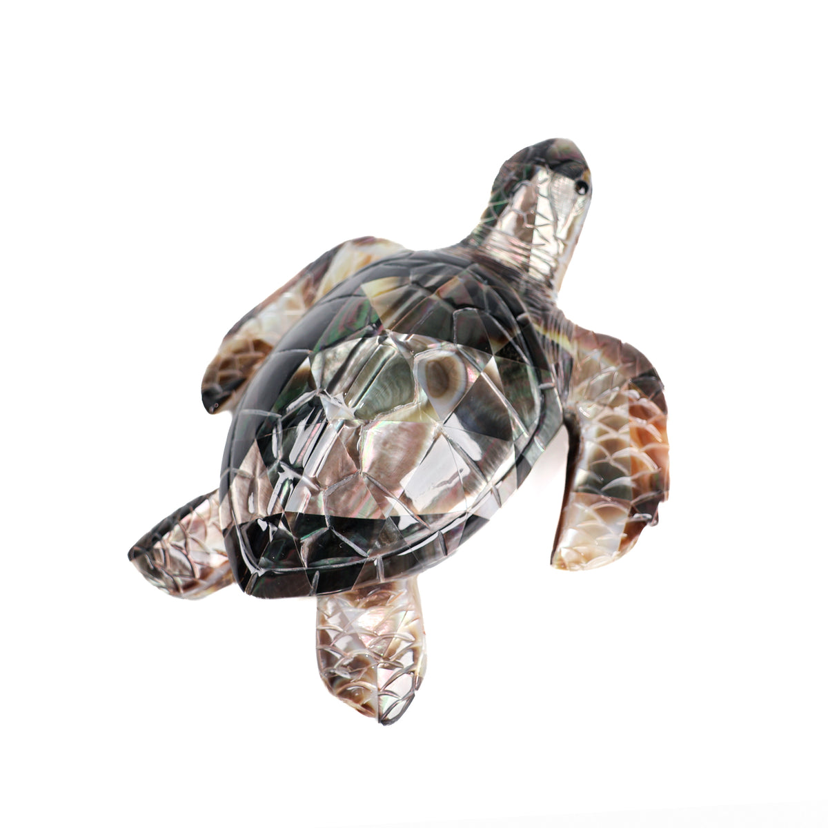 Black Mother of Pearl Turtle front view