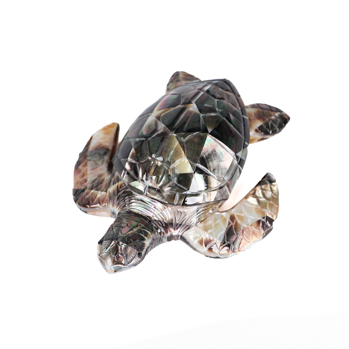 Black Mother of Pearl Turtle front view