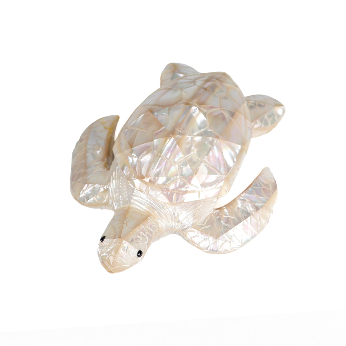 White Mother of Pearl Turtle front view