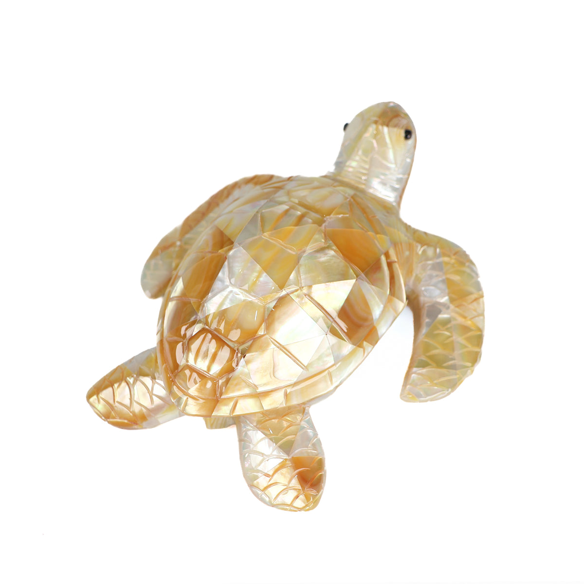 Gold Mother of Pearl Turtle back view