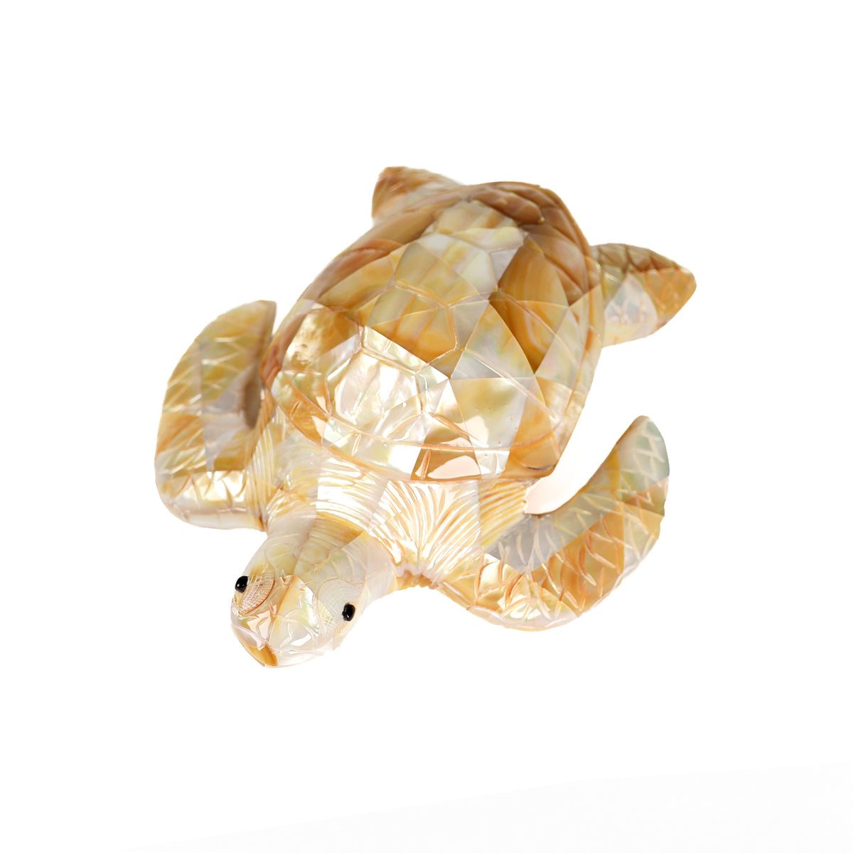 Gold Mother of Pearl Turtle front view