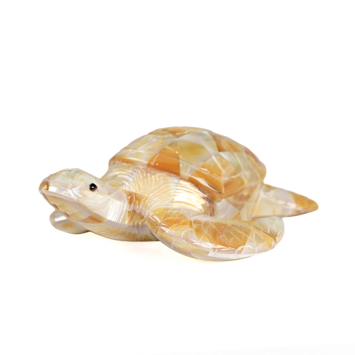 Gold Mother of Pearl Turtle side view
