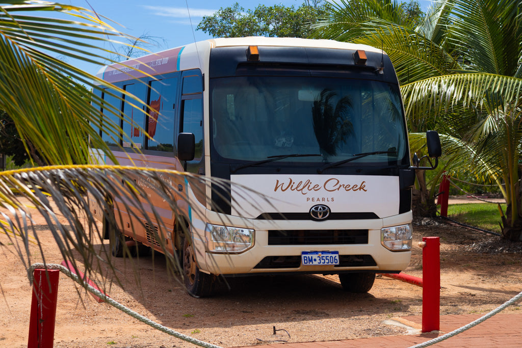 White tour bus with 'Willie Creek' branding parked under palm trees.