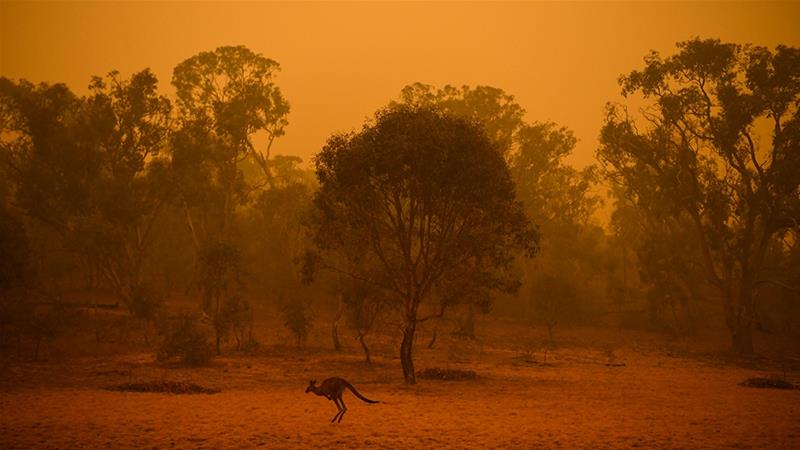 Company Statement on Bushfire Crisis