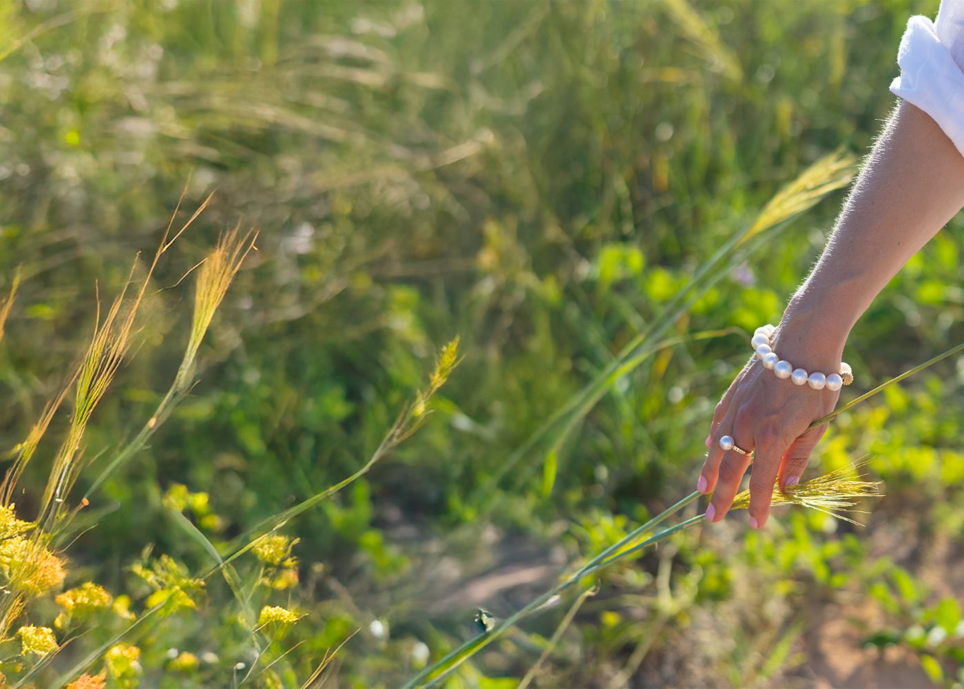 Introducing the CARE Group: Community, Accessibility, Responsibility and Environment