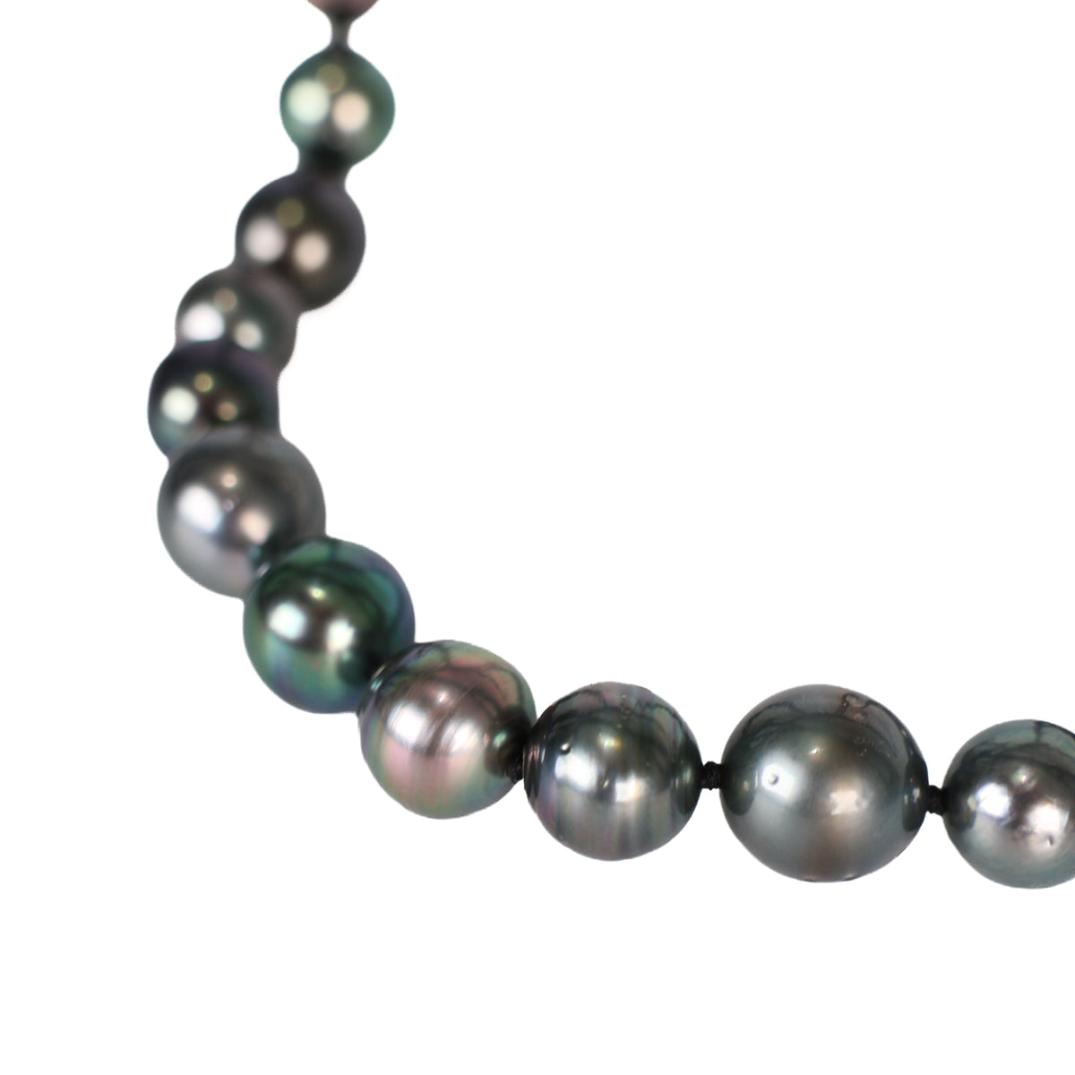 Tahitian Cultured Pearl 45.5 cm Strand close up