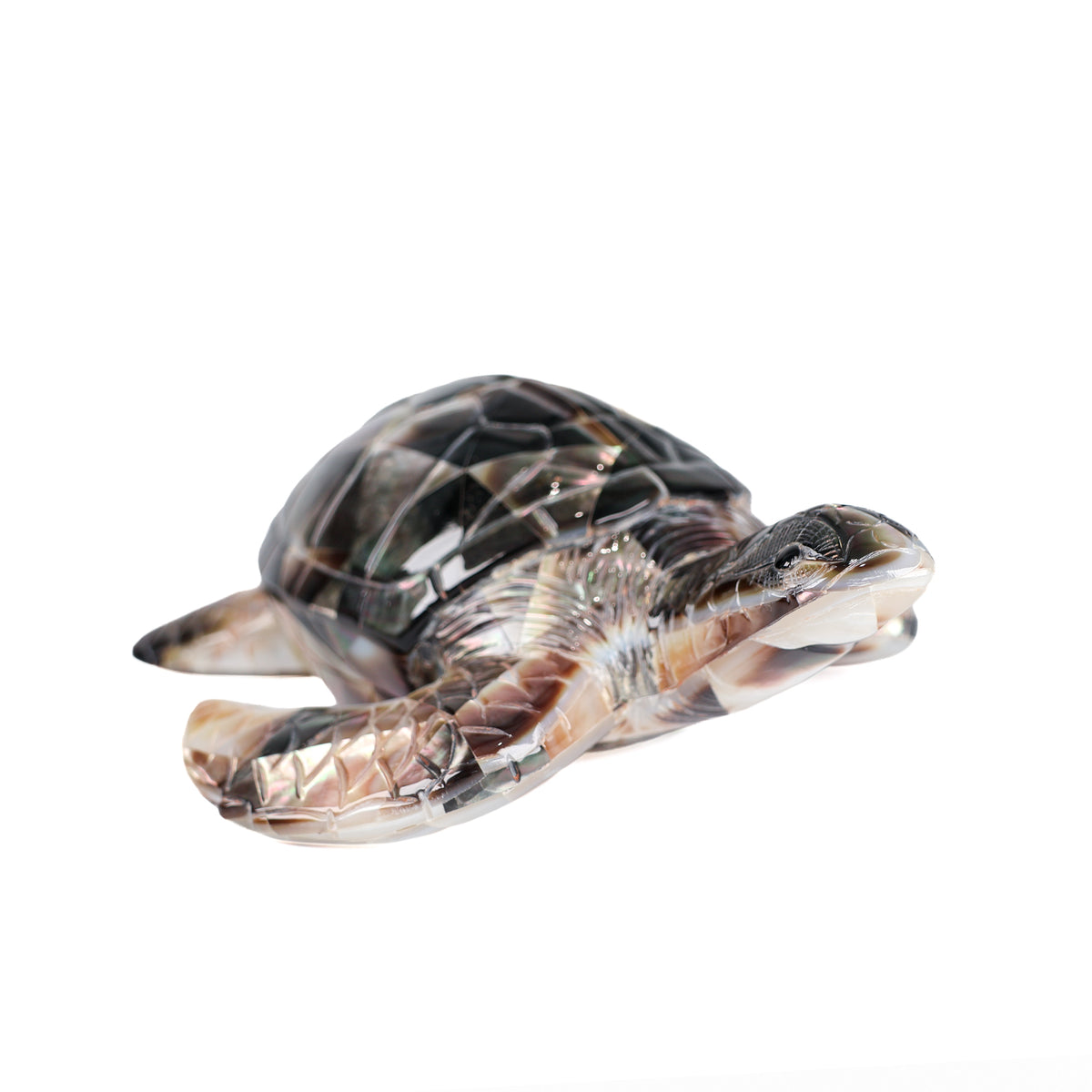 Black Mother of Pearl Turtle side view