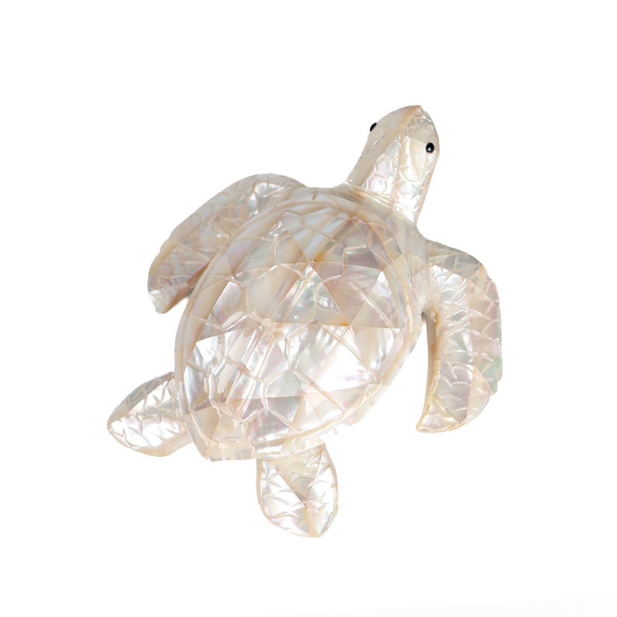 White Mother of Pearl Turtle back view