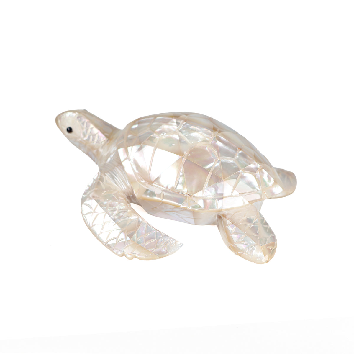 White Mother of Pearl Turtle side view
