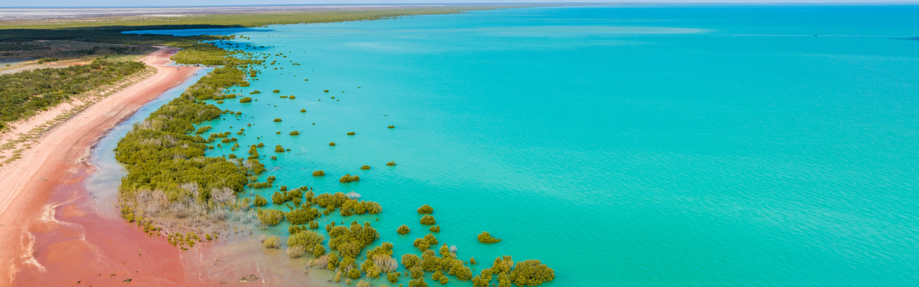 Aerial view of a coastal landscape with turquoise water and pink sand.