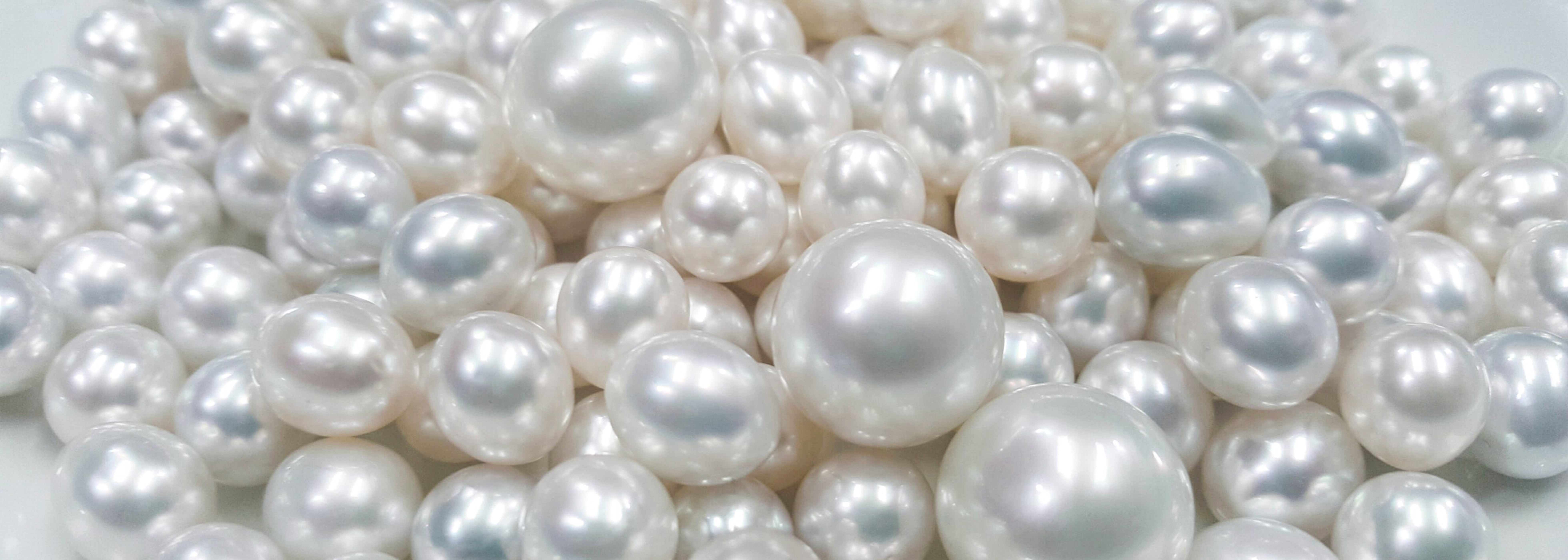 How To Choose Pearls | Australian Pearls | Willie Creek Pearls How To Choose Pearls | Australian Pearls | Willie Creek Pearls