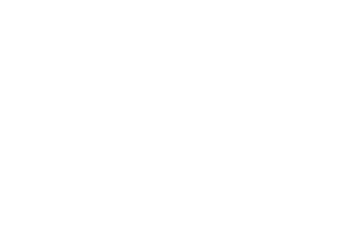 The Roey