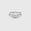 9K White Gold Australian South Sea Cultured 8 -9 mm Pearl Ring