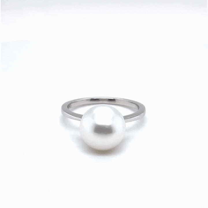 18K 白金澳大利亚南海养殖 10 - 11 毫米珍珠戒指